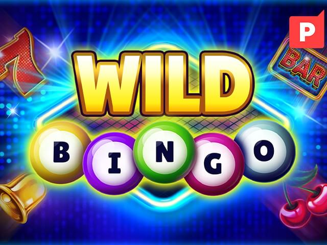 0055 bet Bingo Selvagem